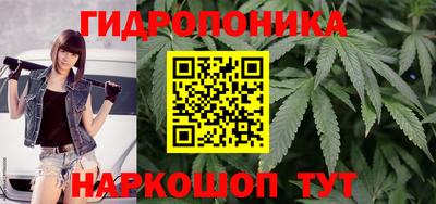 гидропоника Жуковский