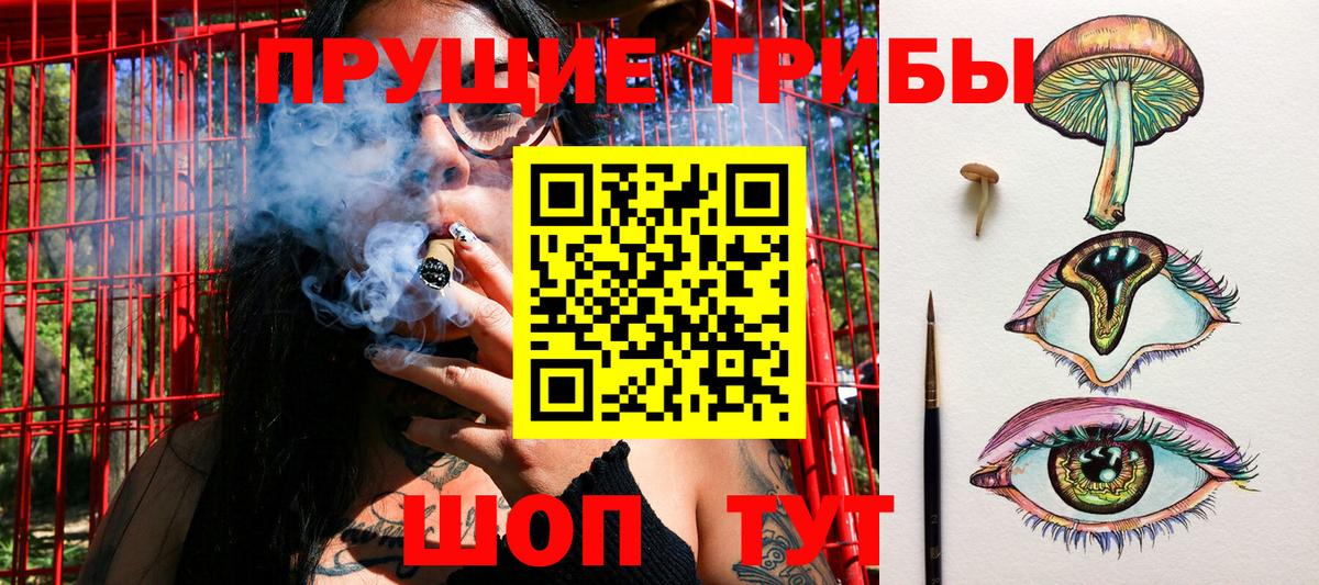 Псилоцибиновые грибы мицелий  купить  цена  Псилоцибиновые грибы Psilocybine cubensis  Зерноград  Вход с VPN 