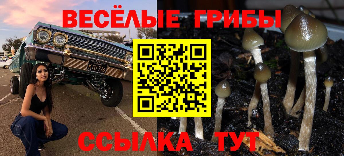 Псилоцибиновые грибы мицелий Зерноград